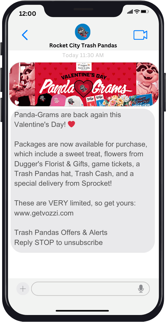 Rocket-City-Trash-Pandas-texts